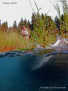 Salmon fisherman at work. by Stéphane Primatesta 